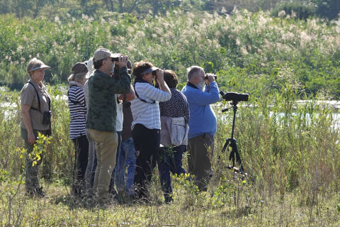 Main Birding Events